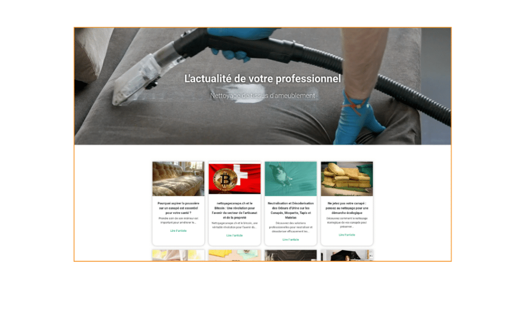 Impose Toi Realisation site internet Societe de nettoyage professionnelle Nettoyage Canape 1